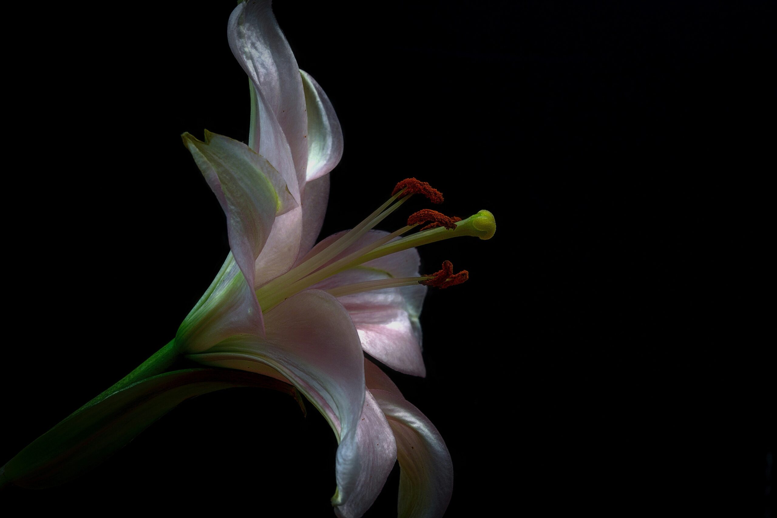 carlos-quintero-Z8kjyhlLYPE-unsplash (1)